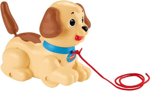 Fisher Price - Meu Primeiro Cachorrinho - H9447 MATTEL