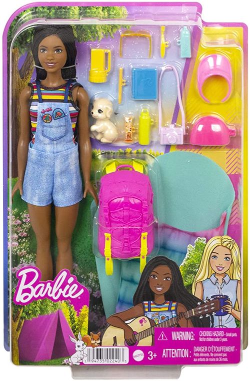 Boneca - Barbie Brooklyn Dia De Acampamento MATTEL