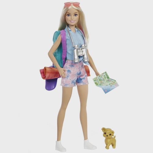 Boneca - Barbie Malibu Dia De Acampamento MATTEL