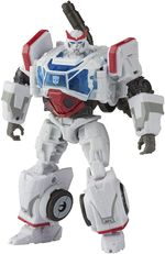 HASF3163_2