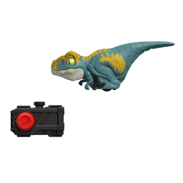 MATGYN3800001AZ_2