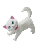 PUP1269_5