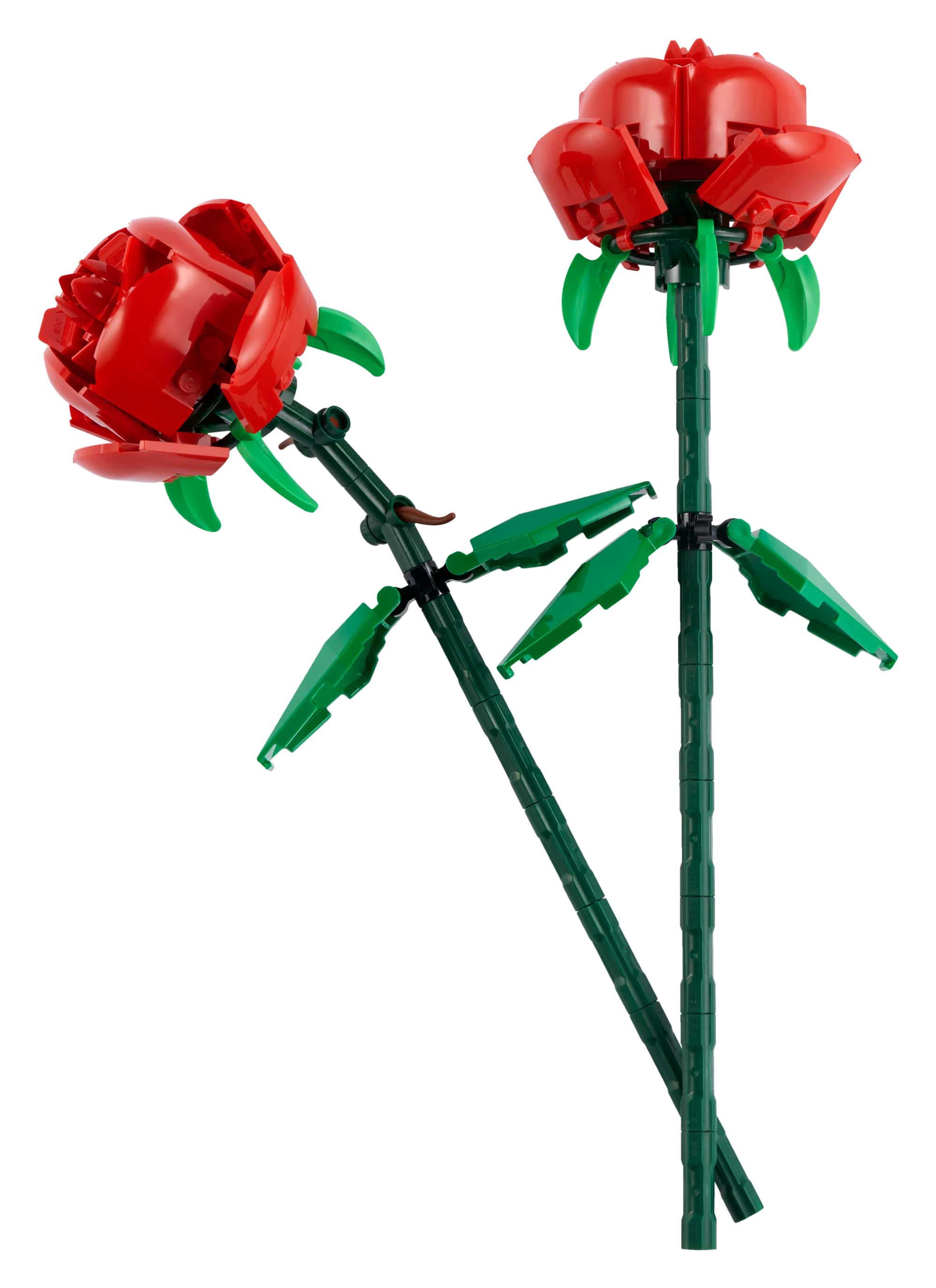Encontraproduto.com.br - Blocos de Montar - Rosas Vermelhas LEGO DO BRASIL