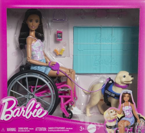 Boneca Barbie - Cadeira de Rodas com Cao Guia - MATTEL