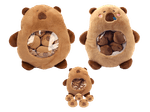 BBRR3683_1